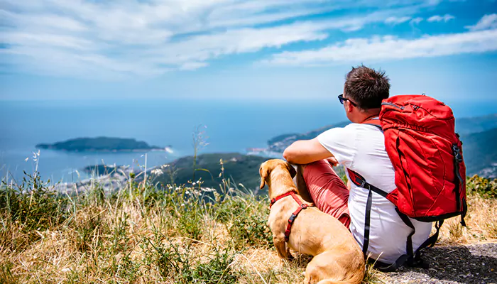 Paw-some Adventures - Exploring Pet-Friendly Hiking Trails With Your Canine Companion